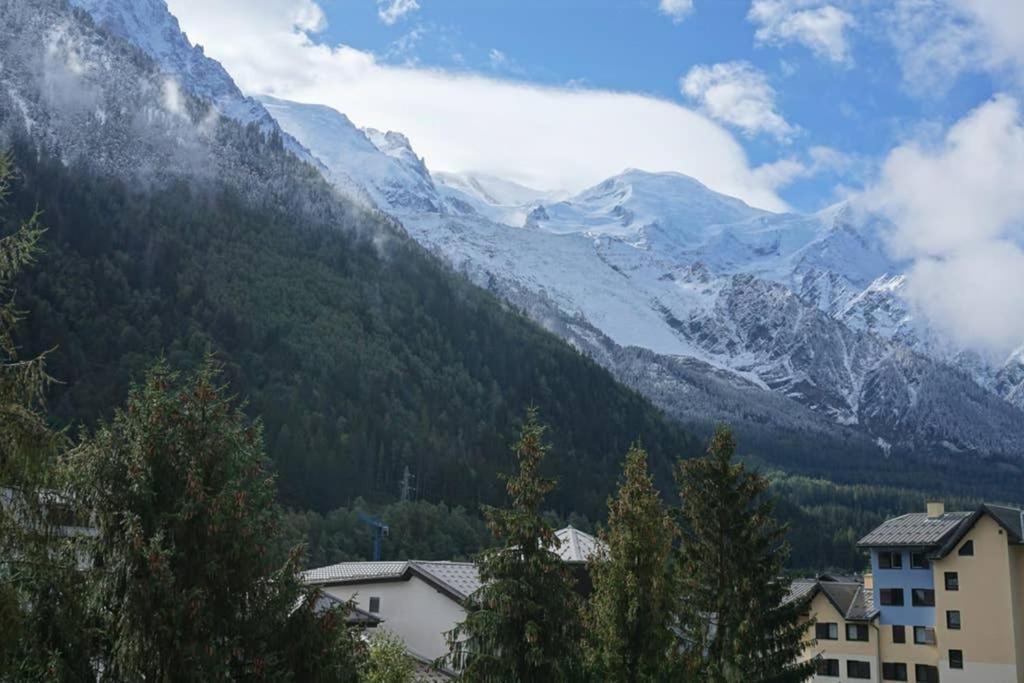 Ferienwohnung Studio Face Au Mont-Blanc Chamonix Exterior foto